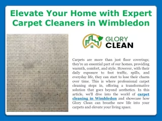Unveiling the Magic of Carpet Cleaning in Wimbledon