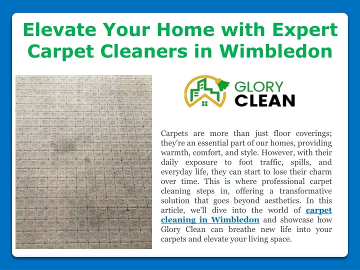 elevate your home with expert carpet cleaners
