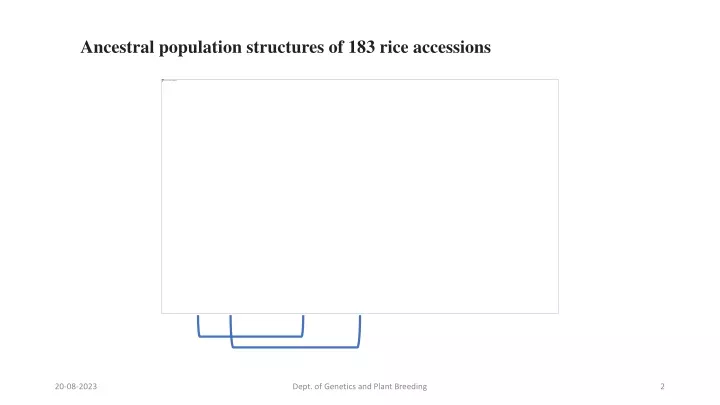 ancestral population structures of 183 rice