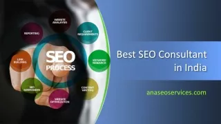 Best SEO Consultant in India - anaseoservices.com