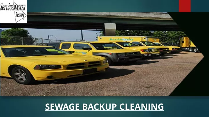 sewage backup cleaning