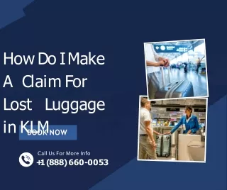 How Do I Make A Claim For Lost Luggage in KLM