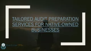 Tailored audit preparation services for Native-owned businesses