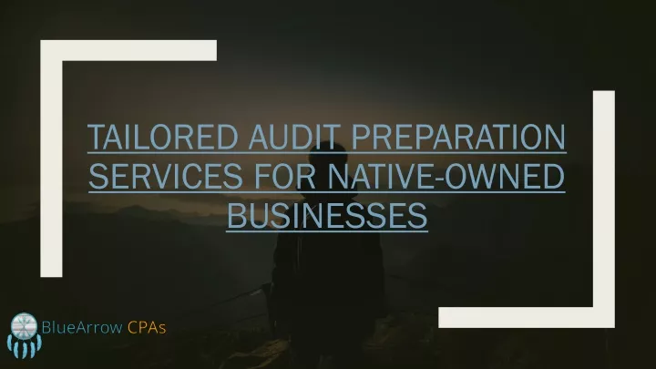 tailored audit preparation services for native owned businesses