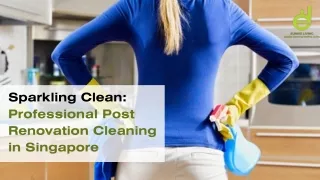 Sparkling Clean Professional Post Renovation Cleaning in Singapore