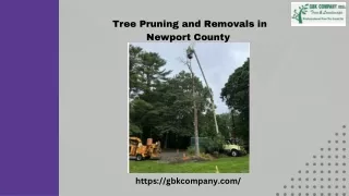 Tree Pruning and Removals in Newport County by GBK Company INC