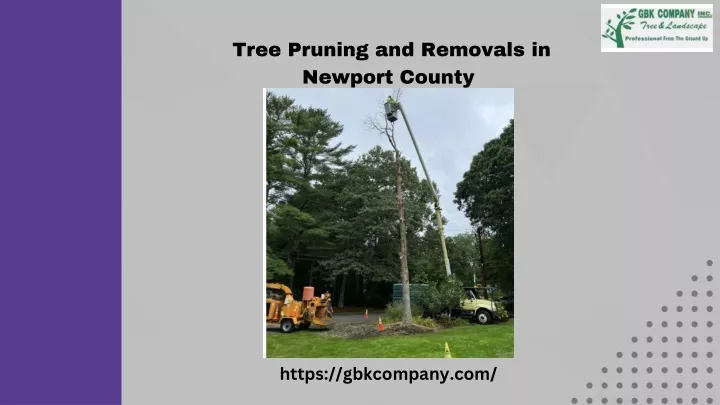 tree pruning and removals in newport county