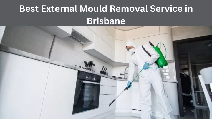 best external mould removal service in brisbane
