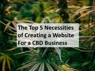 The Top 5 Necessities of Creating a Website For a CBD Business