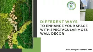 Different Ways to Enhance Your Space with Spectacular Moss Wall Decor
