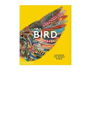 PDF read online Bird Exploring the Winged World free acces