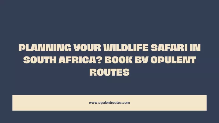planning your wildlife safari in south africa