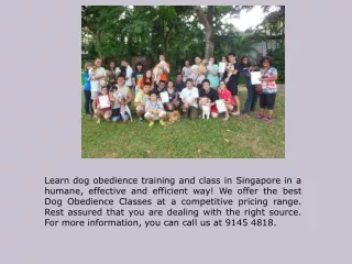 Personal Dog Trainers in Singapore