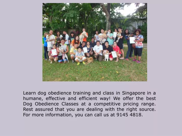 learn dog obedience training and class