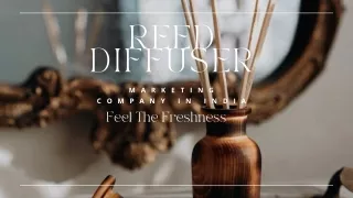 Reed diffuser marketing company in india