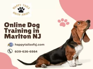 Online Dog Training in Marlton NJ