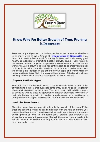 Know Why For Better Growth of Trees Pruning is Important