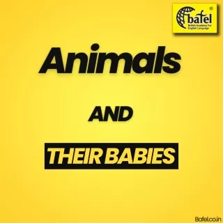 Animals and their Babies  | Best English Spoken Classes in Tilak Nagar