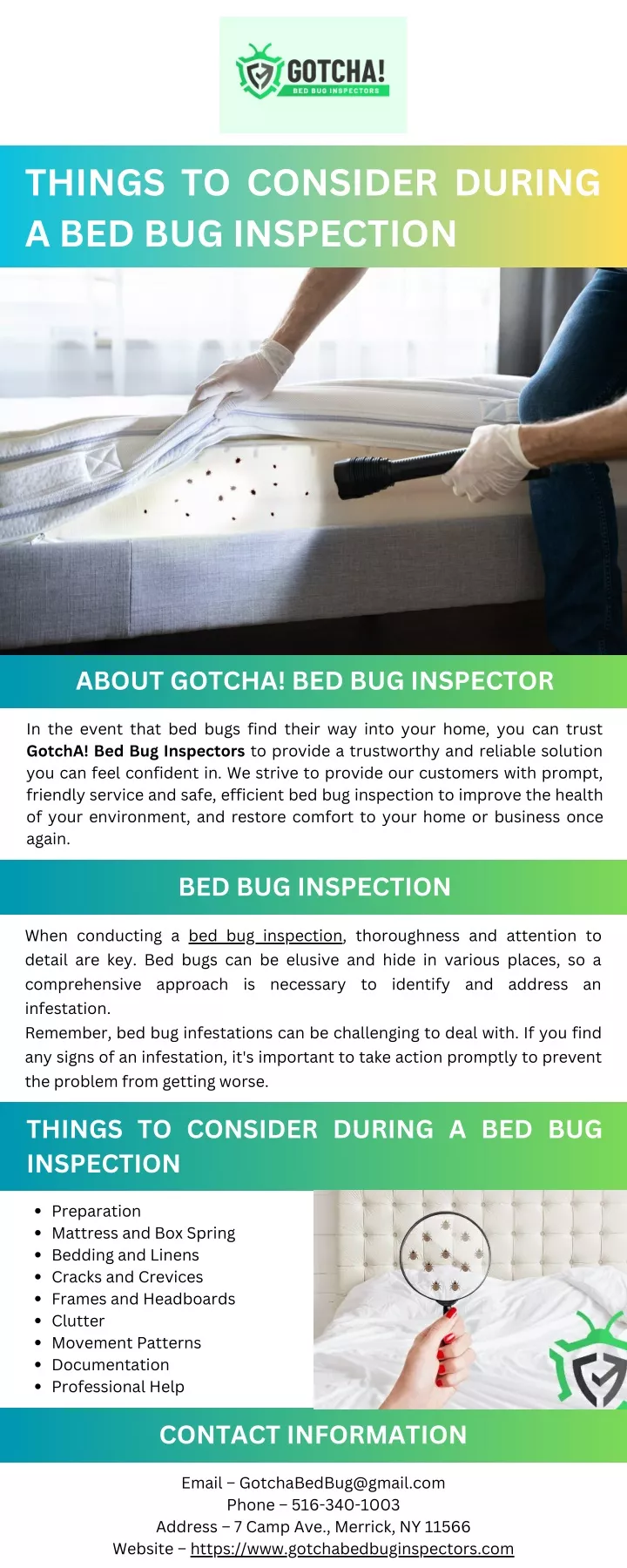 things to consider during a bed bug inspection