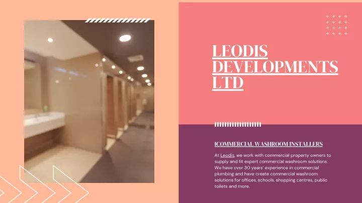 leodis developments ltd