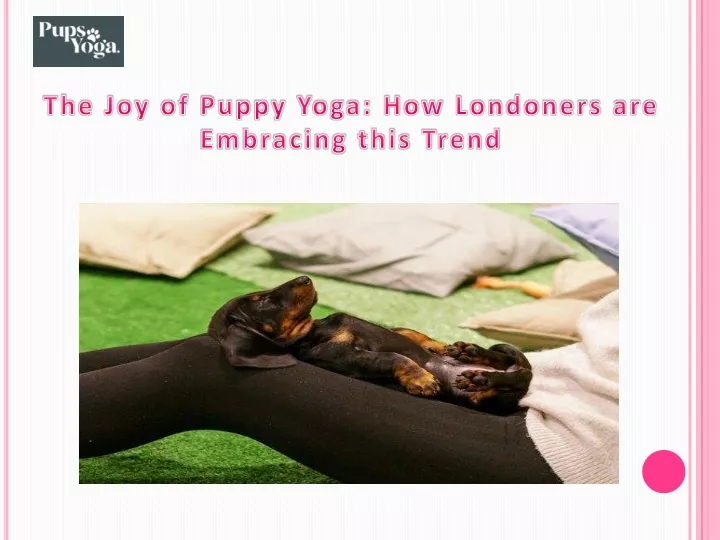 the joy of puppy yoga how londoners are embracing