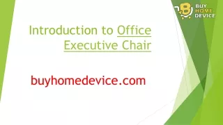 Introduction to Office Executive Chair