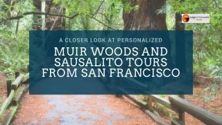 A Closer Look at Personalized Muir Woods and Sausalito Tours from San Francisco