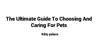 The Ultimate Guide To Choosing And Caring For Pets