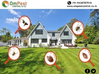 You Know OM Pest Control is the Best Pest Control Company
