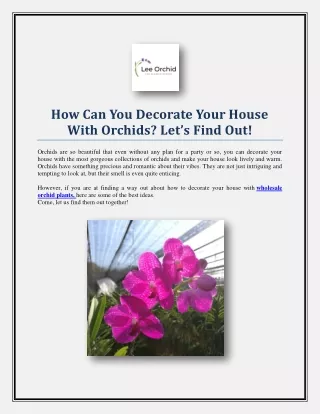 How Can You Decorate Your House With Orchids? Let’s Find Out!