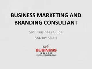 Business Branding and Marketing Consultant