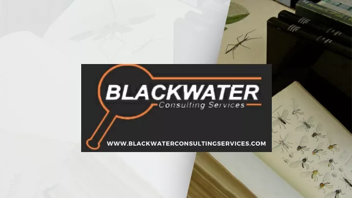www blackwaterconsultingservices com