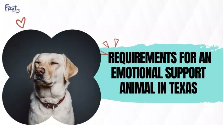 requirements for an emotional support animal