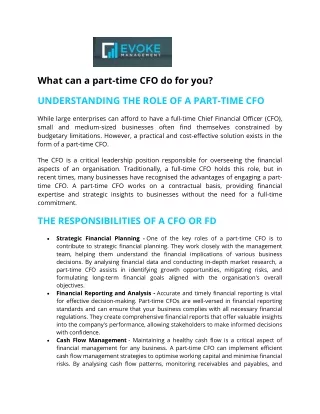 what can a part time cfo do for you