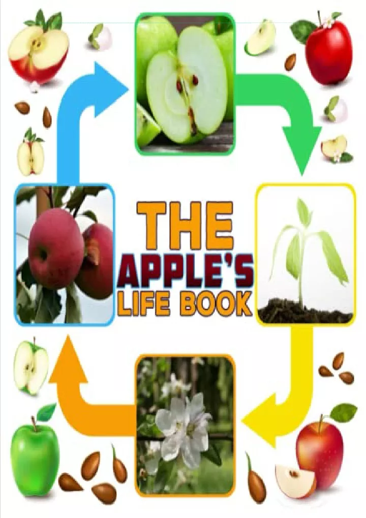 the apple s life book growing up and life cycle