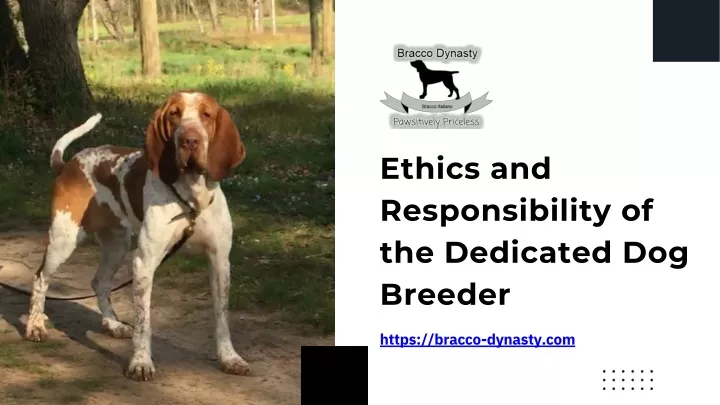 ethics and responsibility of the dedicated