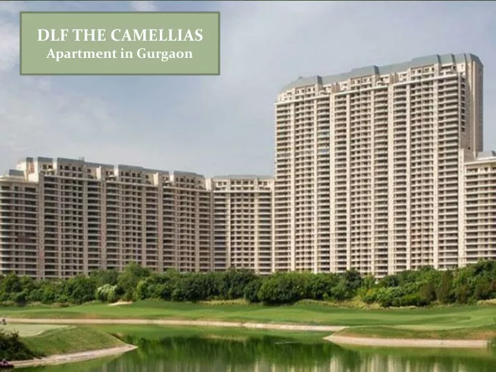 dlf the camellias apartment in gurgaon