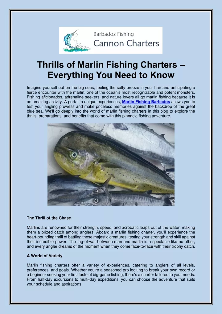 thrills of marlin fishing charters everything