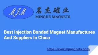 Powerful Injection Ceramic Magnets in china - MJ Magnets