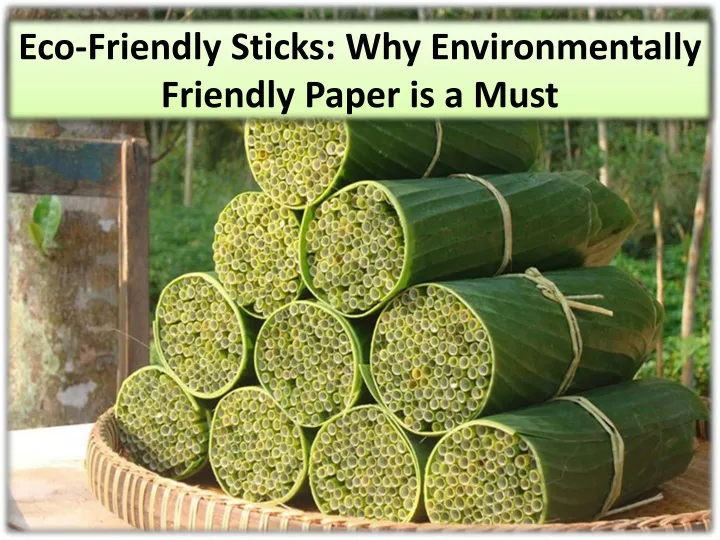 eco friendly sticks why environmentally friendly paper is a must