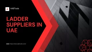 Podium ladder suppliers in UAE