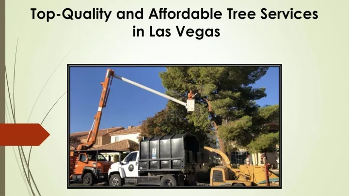 top quality and affordable tree services