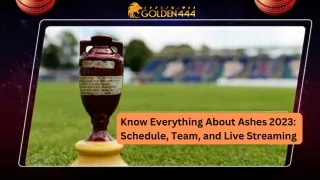 know everything about ashes 2023 schedule team