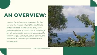 Beachfront Land for Sale in Canggu, Bali
