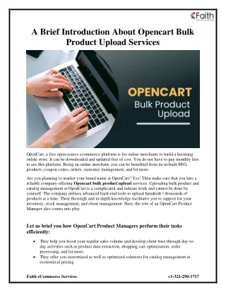 a brief introduction about opencart bulk product