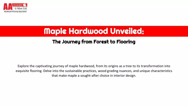 maple hardwood unveiled the journey from forest