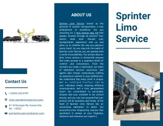 Sprinter Limo Service - Month 02