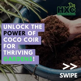 Hydroxchange | Premium Coco Coir & Hydroponic Equipment