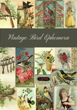 PDF Vintage Bird Ephemera: A Beautiful Collection for Junk Journals, Scrapbookin