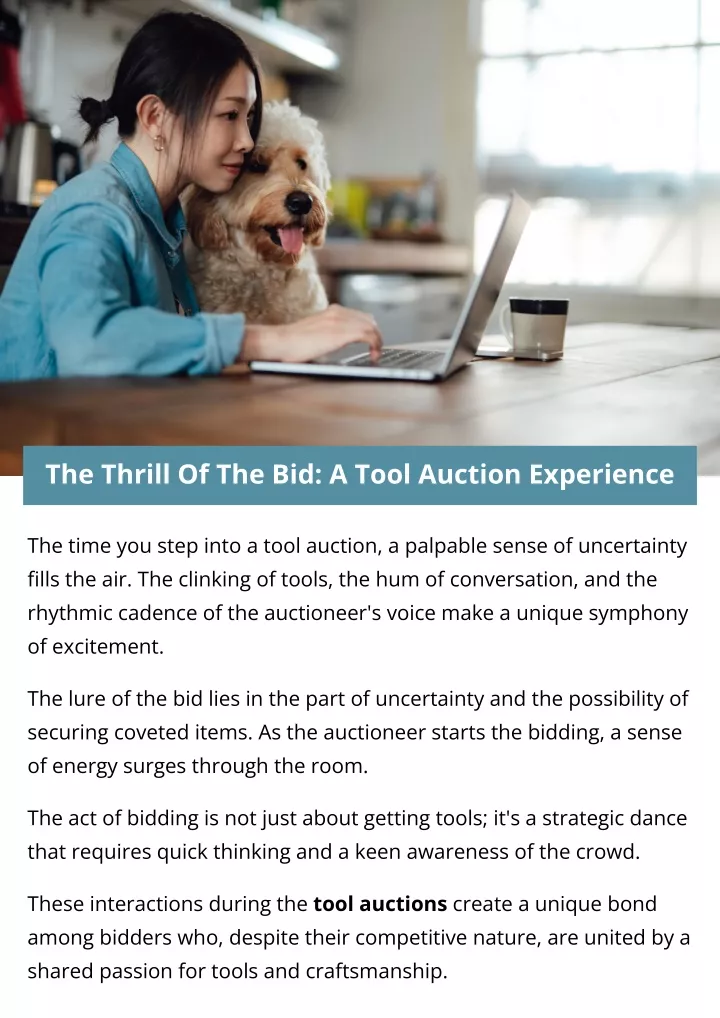 the thrill of the bid a tool auction experience